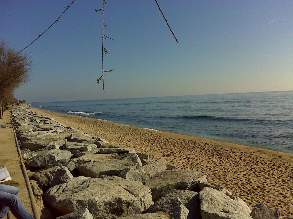 Tata'S House, Junto Playa Y Barcelona Centro Leilighet Masnou Eksteriør bilde